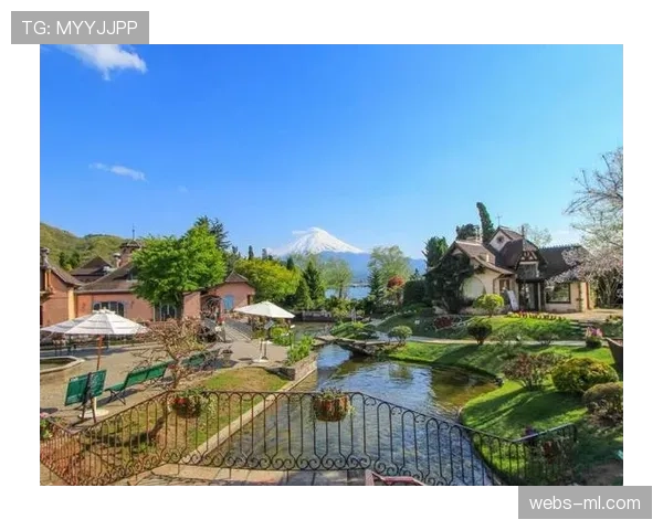 博塔弗戈起诉里昂追讨1.26亿欧元欠款，财务危机一触即发